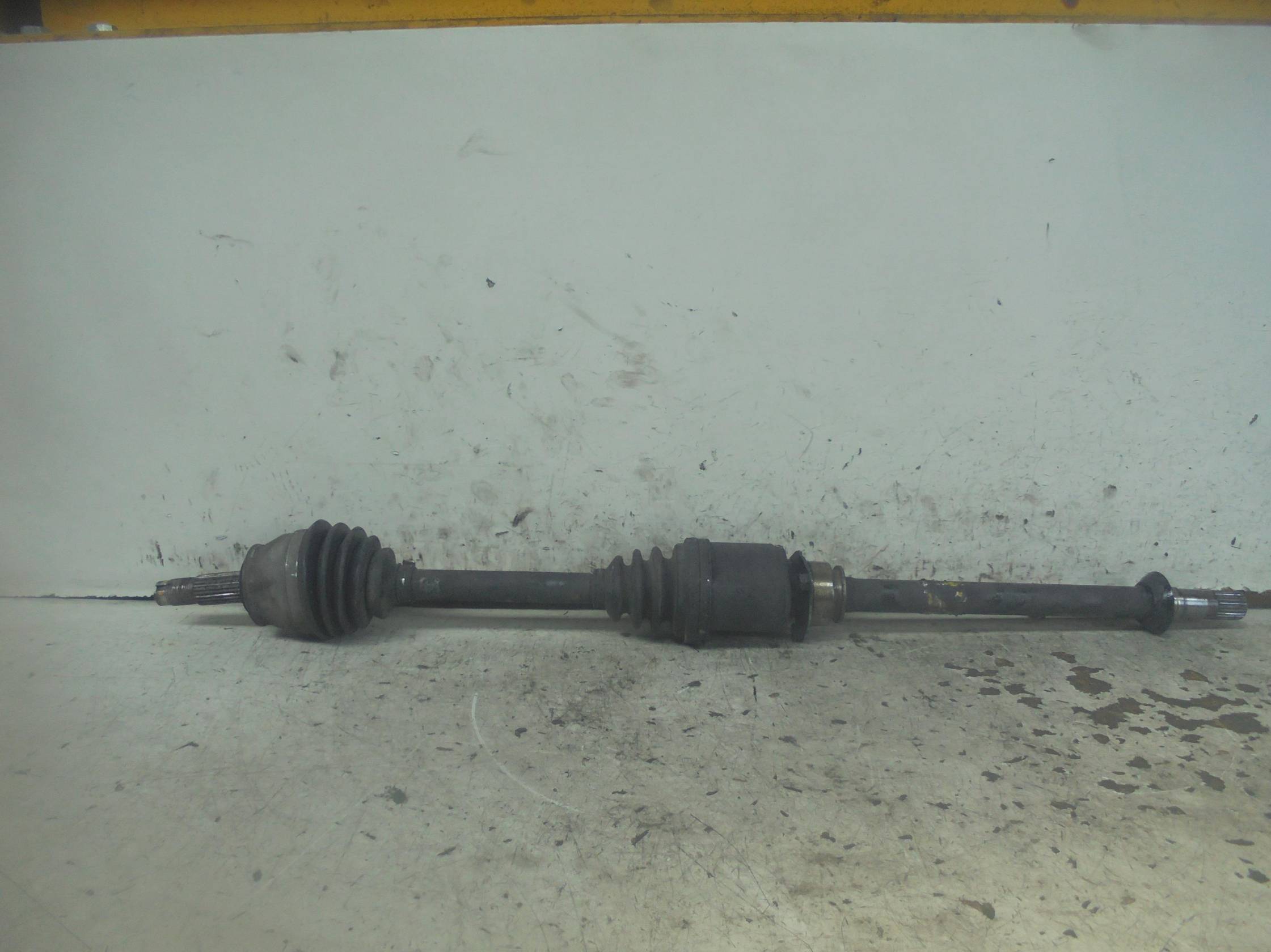 Semialbero ant. compl. dx.